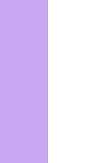 WHITE PURPLE